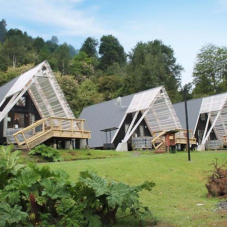 Termas De Aguas Calientes Villa Пуехуе Екстериор снимка